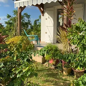 L'exotik Appartement